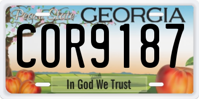 GA license plate COR9187