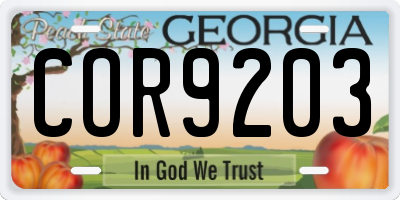 GA license plate COR9203