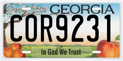 GA license plate COR9231