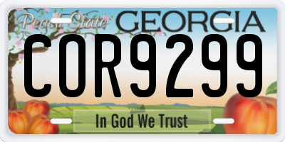 GA license plate COR9299