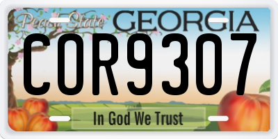 GA license plate COR9307