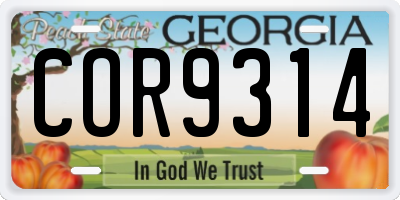 GA license plate COR9314