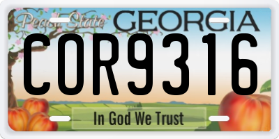 GA license plate COR9316