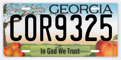 GA license plate COR9325