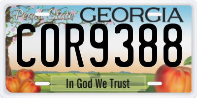 GA license plate COR9388