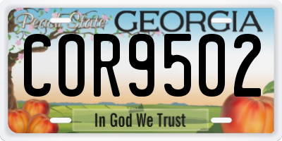 GA license plate COR9502