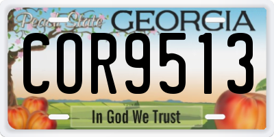 GA license plate COR9513