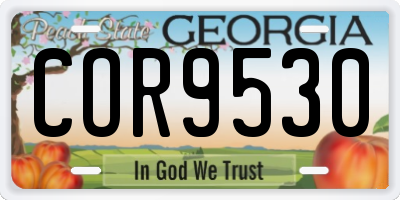 GA license plate COR9530