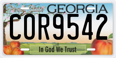 GA license plate COR9542