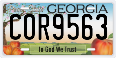 GA license plate COR9563