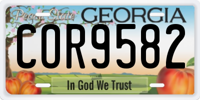 GA license plate COR9582