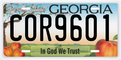 GA license plate COR9601