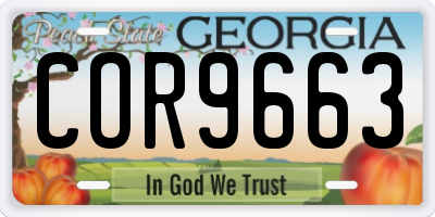 GA license plate COR9663