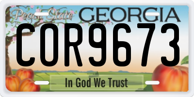 GA license plate COR9673