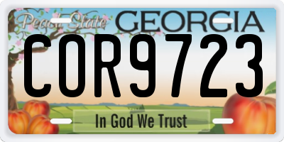 GA license plate COR9723