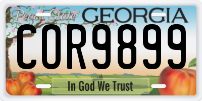 GA license plate COR9899