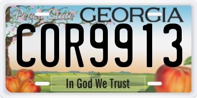 GA license plate COR9913