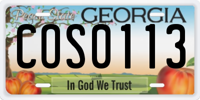 GA license plate COS0113