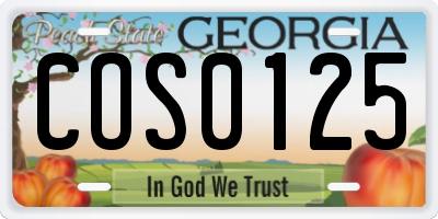 GA license plate COS0125