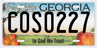 GA license plate COS0227