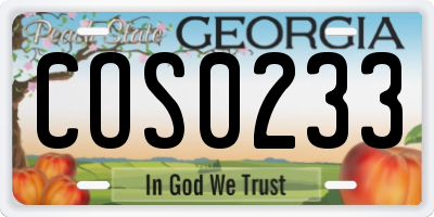 GA license plate COS0233
