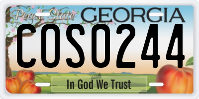 GA license plate COS0244