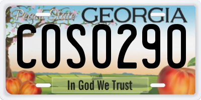 GA license plate COS0290
