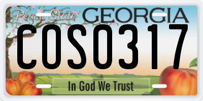 GA license plate COS0317