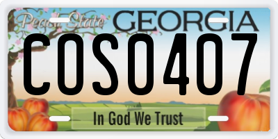 GA license plate COS0407