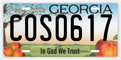 GA license plate COS0617