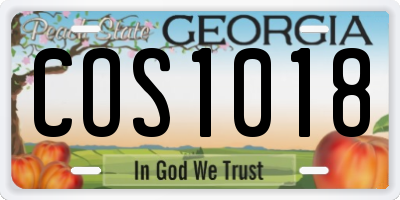 GA license plate COS1018