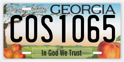 GA license plate COS1065