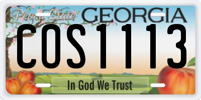 GA license plate COS1113