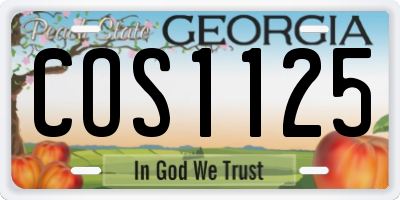 GA license plate COS1125