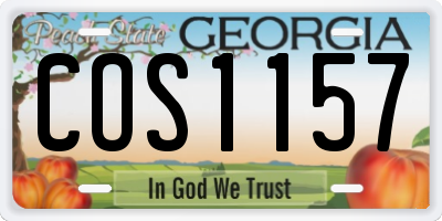GA license plate COS1157
