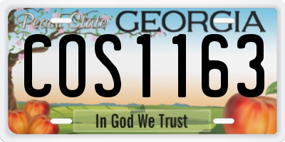 GA license plate COS1163