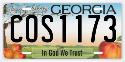 GA license plate COS1173