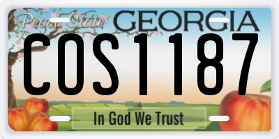 GA license plate COS1187