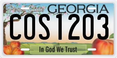 GA license plate COS1203