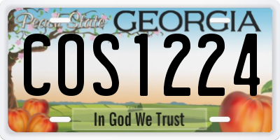 GA license plate COS1224