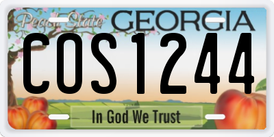 GA license plate COS1244