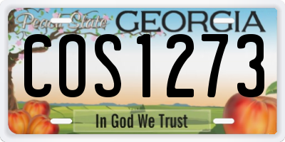 GA license plate COS1273