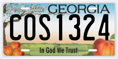 GA license plate COS1324