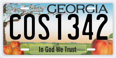 GA license plate COS1342