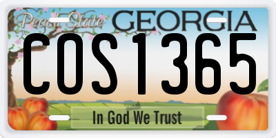 GA license plate COS1365