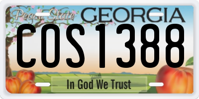 GA license plate COS1388
