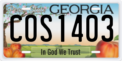 GA license plate COS1403