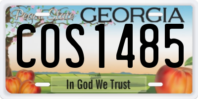 GA license plate COS1485