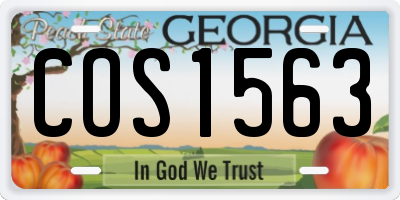 GA license plate COS1563
