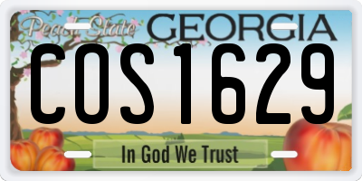 GA license plate COS1629